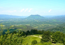 Picture-0035